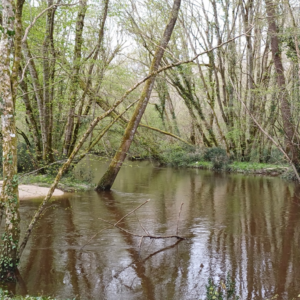 Le moulin de la Saye - Samedi 7 février 2026