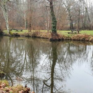 l'étang du moulin - samedi 21 mars 2026